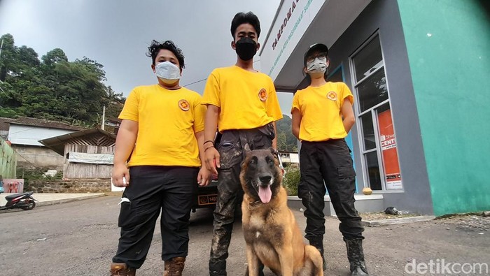 Igor, Anjing jenis Belgian Malinois turut diterjunkan dalam upaya mencari keberadaan Aira Dwi Rahmayuda (13), Warga Indramayu yang dikabarkan hanyut saat banjir bandang menerjang Kawasan Wisata Citengah, Kecamatan Sumedang Selatan, Rabu (4/5/2022) sore.