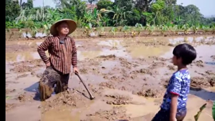 Narji jadi petani Narji jadi petani