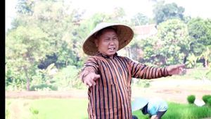 Seru! Intip Momen Narji Membajak Sawah hingga Tanam Padi