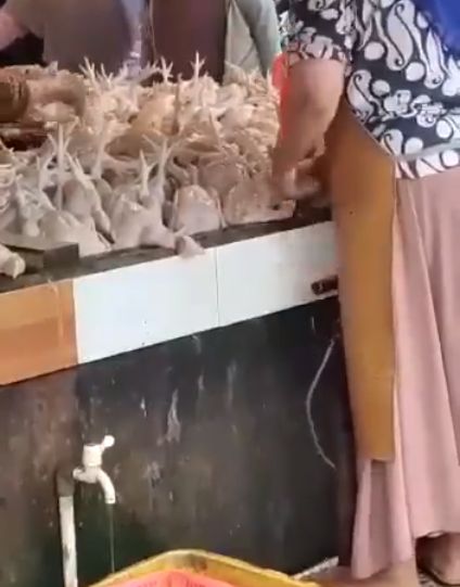 Pedagang Ayam Viral Karena Pompa Ayam Pakai Angin