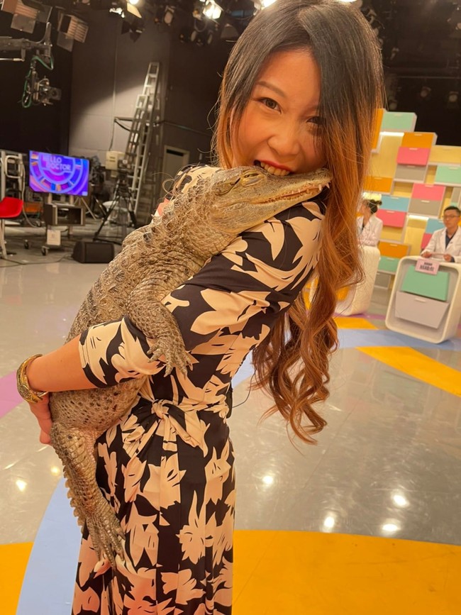 “Orang berpikir bahwa buaya tidak akan merasakan sakit karena mereka tidak memiliki perasaan, itu sebenarnya tidak benar. Mereka memiliki lapisan jaringan seperti kulit di bawah sisik yang pada dasarnya adalah lapisan kulit yang menebal,” ungkap Sashimi. Foto: dok. Facebook