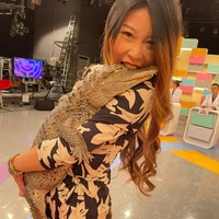 “Orang berpikir bahwa buaya tidak akan merasakan sakit karena mereka tidak memiliki perasaan, itu sebenarnya tidak benar. Mereka memiliki lapisan jaringan seperti kulit di bawah sisik yang pada dasarnya adalah lapisan kulit yang menebal,” ungkap Sashimi. Foto: dok. Facebook