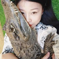 Sashimi jadi viral karena memperlihatkan kehidupan kesehariannya bersama enam buayanya lewat konten di Facebooknya. Sashimi mengaku jatuh hati pada spesies berdarah dingin tersebut. Foto: dok. Facebook