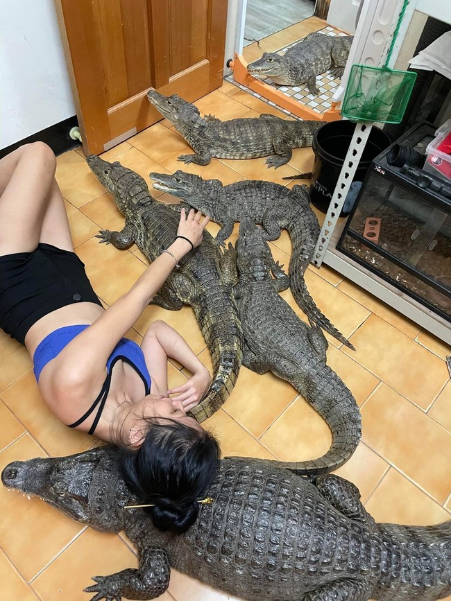 Reptil liar tersebut diakui Sashimi kadang sulit diatur. Binatang peliharaannya itu kerap menggigit sepatu milik Sashimi. Foto: dok. Facebook