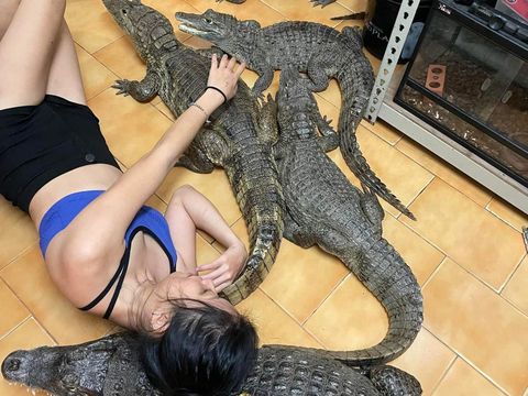 Sashimi, wanita yang pelihara buaya