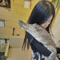 Menurut Sashimi buaya memiliki titik lemah. “Jika kamu menyentuh ‘titik lemah’ di antara sisik, mereka dapat merasakannya dan bereaksi terhadapnya,” tambah Sashimi. Foto: dok. Facebook