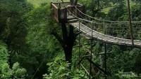 Ada berbagai wisata outbond, mulai dari flying fox, jaring-jaring dan wahana menantang lainnya