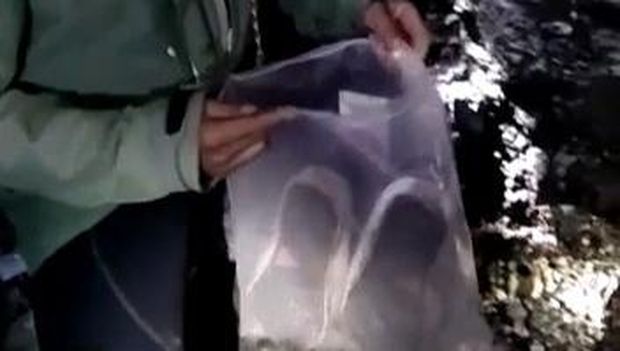 Tim SAR menemukan sepatu dan handphone milik wisatawan yang hilang.