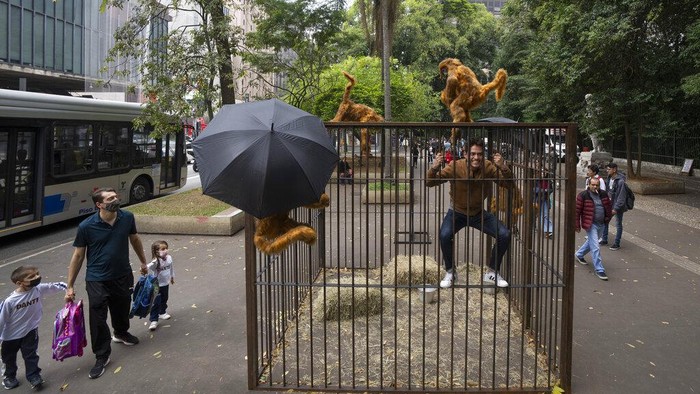 A man walks his dog past an art installation by Brazilian artist Eduardo Srur depicting a tree made with hundreds of bird cages seized by the environmental police from animal traffickers at the Parque do Povo park in Sao Paulo, Brazil, Friday, May 6, 2022. According to the artist, the exhibition 