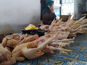 Sedih, Harga Ayam di Parepare Mahal Bikin Sepi Pembeli