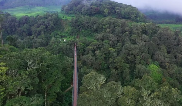 Kawah itu juga masih aktif sampai sekarang dan menjadi objek wisata andalan Kabupaten Bandung. Air panas dari Kawah Rengganis Ciwidey juga dipercaya dapat mengobati berbagai penyakit. Ini karena air panas itu mengandung belerang. Foto: Instagram @rengganissuspensionbridge Kawah itu juga masih aktif sampai sekarang dan menjadi objek wisata andalan Kabupaten Bandung. Air panas dari Kawah Rengganis Ciwidey juga dipercaya dapat mengobati berbagai penyakit. Ini karena air panas itu mengandung belerang. Foto: Instagram @rengganissuspensionbridge