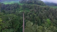 Kawah itu juga masih aktif sampai sekarang dan menjadi objek wisata andalan Kabupaten Bandung. Air panas dari Kawah Rengganis Ciwidey juga dipercaya dapat mengobati berbagai penyakit. Ini karena air panas itu mengandung belerang. Foto: Instagram @rengganissuspensionbridge