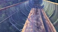 Pengunjung dapat melihat pemandangan alam 360 derajat dari jembatan setinggi 80 meter dari permukaan tanah itu. Waktu terbaik datang ke sana adalah menjelang matahari terbenam karena pemandangannya yang ciamik. Foto: Instagram @rengganissuspensionbridge