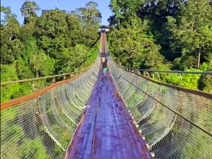 5 Jembatan Gantung di Bandung, Berani Menyeberang?