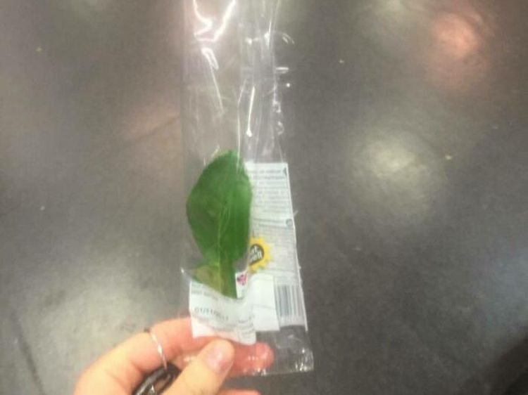 Niatnya Kreatif, 10 Makanan Kemasan Ini Justru Gagal Estetik