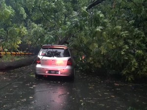 Hujan Disertai Angin Kencang Terjang Subang, Rumdin Wabup-Mobil Rusak