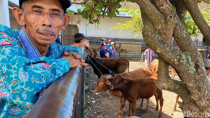Sapi di pasar hewan di Banyuwangi. Pemkab Banyuwangi gencarkan antisipasi PMK.