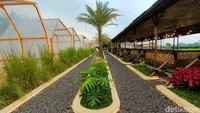 Ditambah lagi, pohon palm yang banyak tersebar di kafe ini membuat suasana lebih terasa kearab-araban. Kebanyakan tempat ngopi yang disediakan di tempat ini adalah lesehan. Namun, ada juga beberapa tempat yang diberi kursi seperti tempat ngopi biasa.   