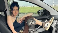 Tamara Dai merupakan seorang kreator konten yang tengah disorot. Berbeda dengan kebanyakan orang yang aktif di media sosial, dia memilih tertutup soal urusan asmara. (Foto: dok. Instagram @tamaradai) 