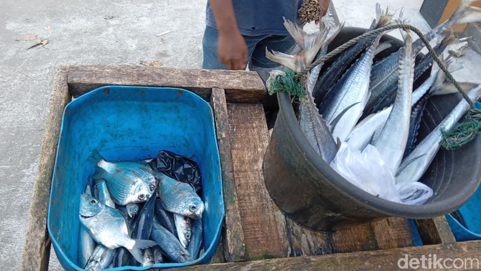 Tangkapan ikan nelayan di Batukaras
