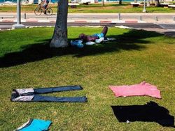 Awas! Deretan Foto Ini Benar-benar Mengecoh Mata