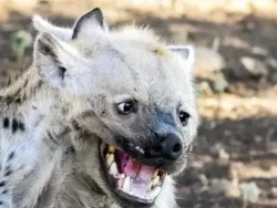 Awas! Deretan Foto Ini Benar-benar Mengecoh Mata