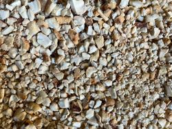 Awas! Deretan Foto Ini Benar-benar Mengecoh Mata