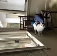 Foto mengecoh mata