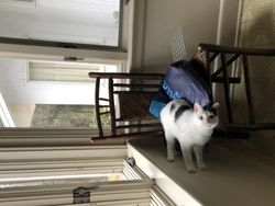 Awas! Deretan Foto Ini Benar-benar Mengecoh Mata