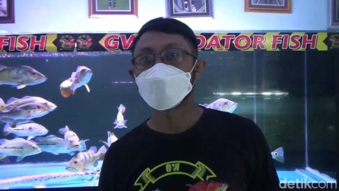 Gufron WIdigdo, pembudidaya ika predator di Lumajang