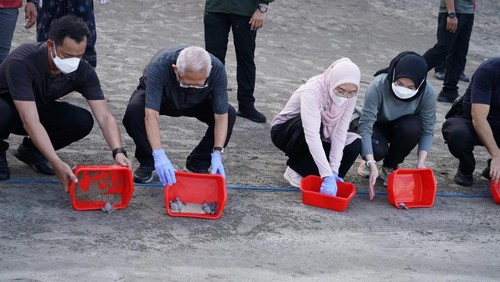 Wakil Presiden (Wapres) K.H. Maruf Amin beserta Ibu Hj. Wury Ma’ruf Amin melakukan pelepasan anak penyu/tukik di Pantai Kuta