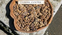 Ada beragam kopi di Indonesia, salah satu yang terkenal kopi luwak. Jenis kopi ini juga terkenal di dunia, tak heran kalau harga jualnya tinggi. Kopi yang melalui proses fermentasi feses binatang luwank ini ditawarkan dengan harga $600 (Rp 8,7 juta) per 500 gramnya. Foto: Getty Images/iStockphoto