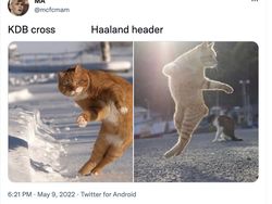 Meme Haaland ke Manchester City, Mau Puasa Liga Champions?