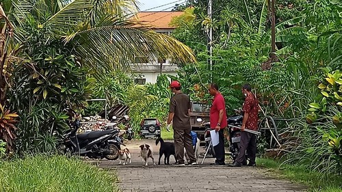 Pelaksanaan vaksinasi darurat rabies di Jalan Pulau Nias, Banjar Dauh Peken, Desa Dauh Peken, Kecamatan Tabanan pada Selasa (10/5/2022).