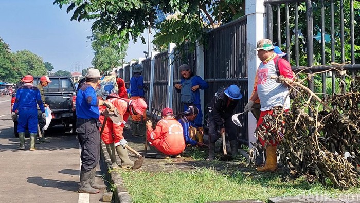 Pembersihan sampah dan rumput liar di Stadion GBLA.