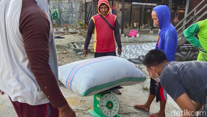 Petani di Pinrang yang akan menjual gabahnya wajib dipotong bobotnya hingga 10 kg jika ingin hasil taninya laku terjual di pedagang.