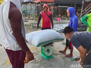 Curhat Petani Pinrang Gabah Dipotong Sampai 490 Kg Saat Jual ke Pedagang