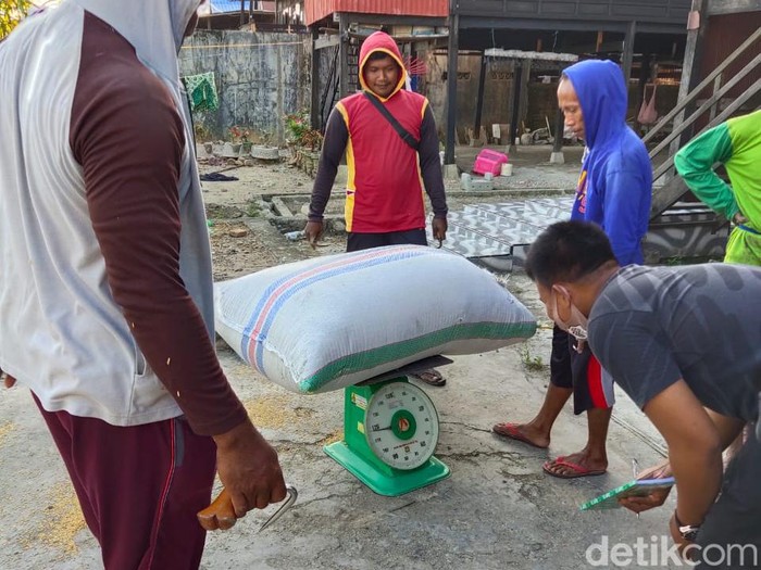 Petani di Pinrang yang akan menjual gabahnya wajib dipotong bobotnya hingga 10 kg jika ingin hasil taninya laku terjual di pedagang.