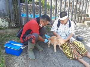 Kasus Rabies di Bali Dikeluhkan Turis, Sandiaga Minta Bantuan K9 Lovers