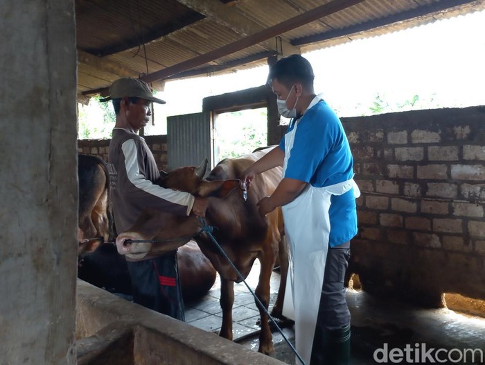 penyakit mulu dan kuku