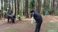 Banyak spot-spot foto yang tersedia. Misalnya berlatarkan pepohonan pinus. (Tasya Khairally/detikcom)