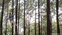 Untuk yang mau memacu adrenalin, ada wahana flying fox. Traveler cukup membayar Rp 20 ribu.(Tasya Khairally/detikcom)