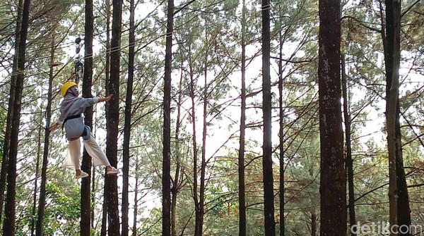 Untuk yang mau memacu adrenalin, ada wahana flying fox. Traveler cukup membayar Rp 20 ribu.(Tasya Khairally/detikcom) Untuk yang mau memacu adrenalin, ada wahana flying fox. Traveler cukup membayar Rp 20 ribu.(Tasya Khairally/detikcom)
