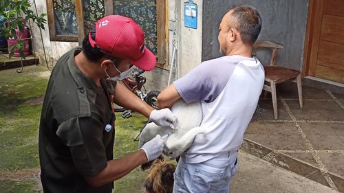 Salah satu warga di Jalan Pulau Nias saat menyodorkan anjing peliharaannya untuk divaksin petugas dari Dinas Pertanian Tabanan, Selasa (10/5/2022).