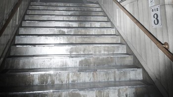 Ia tidak hanya membagikan beberapa foto saja, tetapi termasuk cuplikan video berdurasi 2 menit 49 detik di channel Youtube subjectn. Foto: (Artstation: Lorenzo Drago).