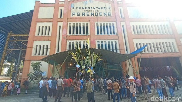 Tradisi tebu pengantin di PG Rendeng Kudus, Selasa (10/5/2022).