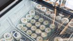 Potret Tempat Makan Es Krim di Tangerang yang Instagramable Banget