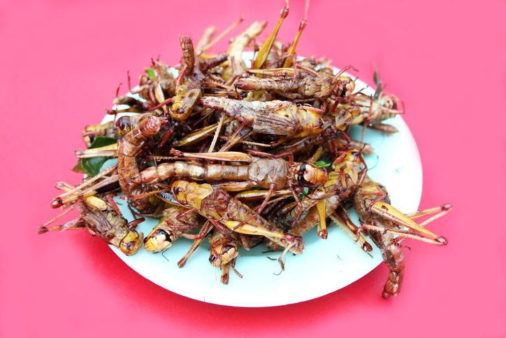 7 Makanan Ekstrem Indonesia yang Patut Dicicipi Menurut Situs Wisata Terkenal
