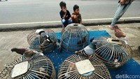 Bermain bersama di luar rumah merupakan aktivitas yang menyenangkan bagi anak-anak. 