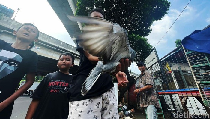 Sejumlah anak mengisi sisa liburan sekolah dengan bermain burung merpati di Jalan Petukangan Utara, Pesanggrahan, Jakarta, Rabu (11/5/202).